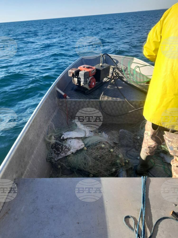 Около 300 метра незаконни мрежи за калкан са извадени от морето между Дуранкулак и Крапец