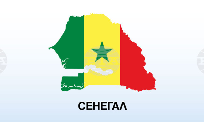 ООН и Нидерландия отмениха организирана от тях ЛГБТИ проява в Сенегал заради предупреждение от африканската страна