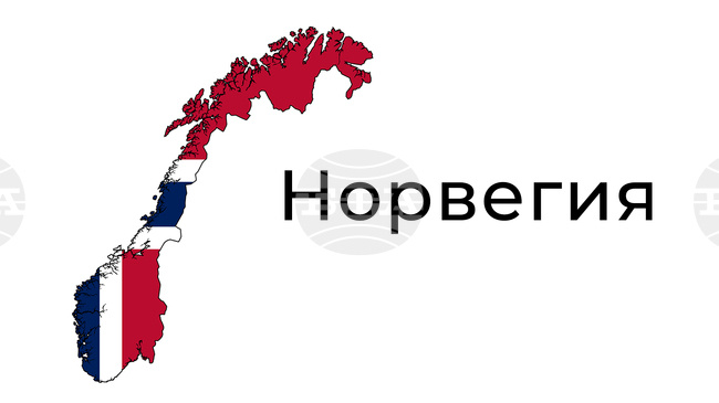 В пещера в Норвегия са открити останки на животни отпреди 10 000 г. 