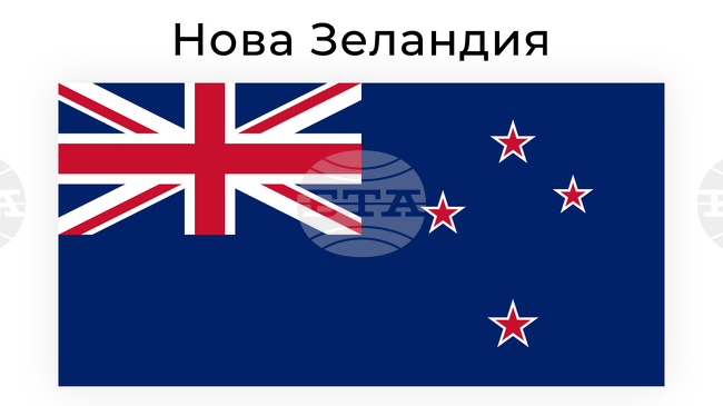 В Нова Зеландия ще бъдат произведени парламентарни избори на 7 ноември