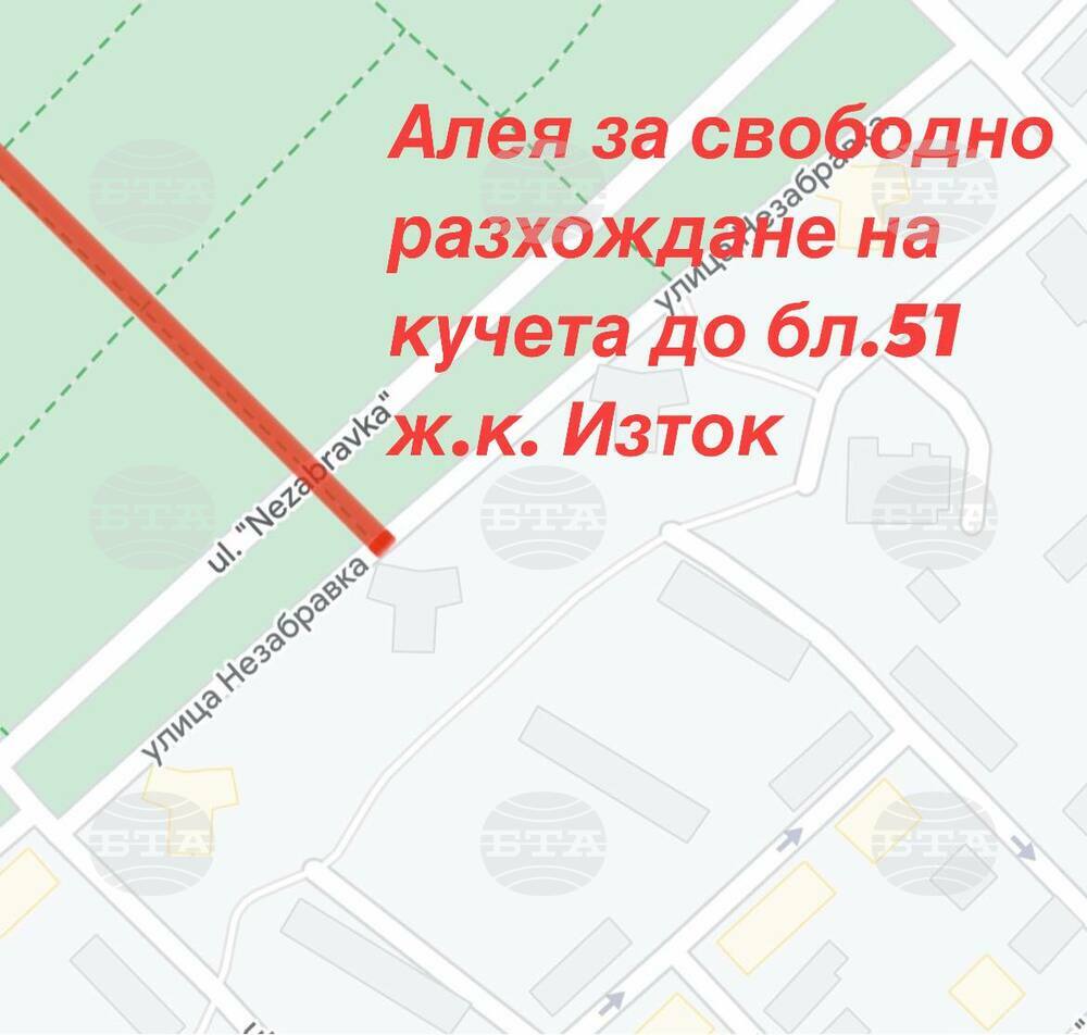 В Борисовата градина вече има алея за свободно разхождане на домашни любимци