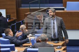 Парламент - заседание