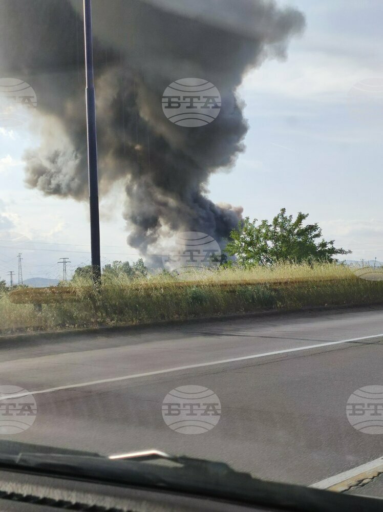 Разследват палеж на ниви с пшеница в криводолското село Ракево