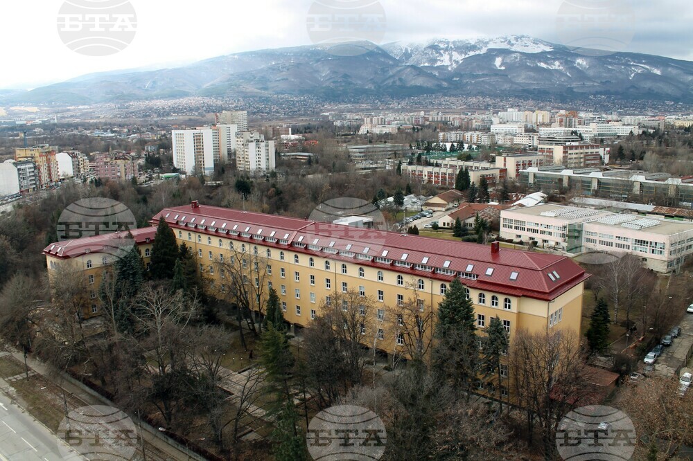 Forestry Sector in Bulgaria Is in Dire Straits, Forestry University Warns