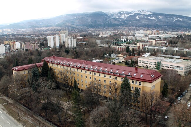 Forestry Sector in Bulgaria Is in Dire Straits, Forestry University Warns