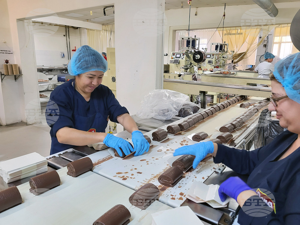 Bulgaria's Average Salary Shows Third Highest Growth in EU in 2024, But Remains Lowest of All - Eurostat