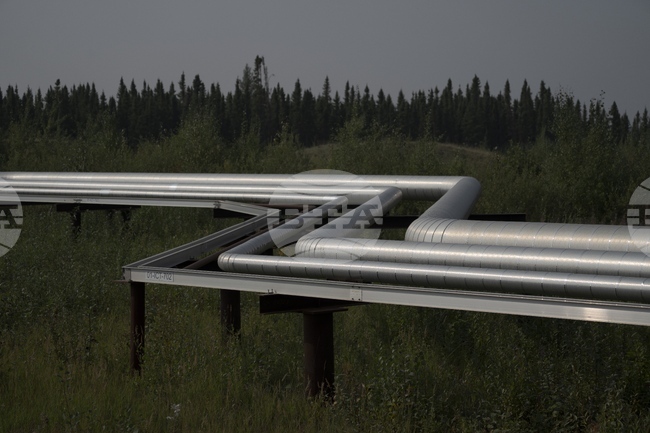 Хърватската компания ЯНАФ е получила лиценз за транспортиране на суров петрол до Сърбия до 16 юни