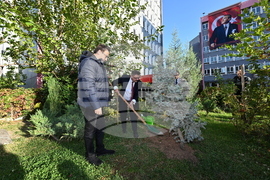 Turkiye - National Tree Planting Day - Kiril Valchev - Serdar Karagoz
