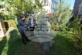Turkiye - National Tree Planting Day - Kiril Valchev - Serdar Karagoz