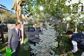 Turkiye - National Tree Planting Day - Kiril Valchev - Serdar Karagoz