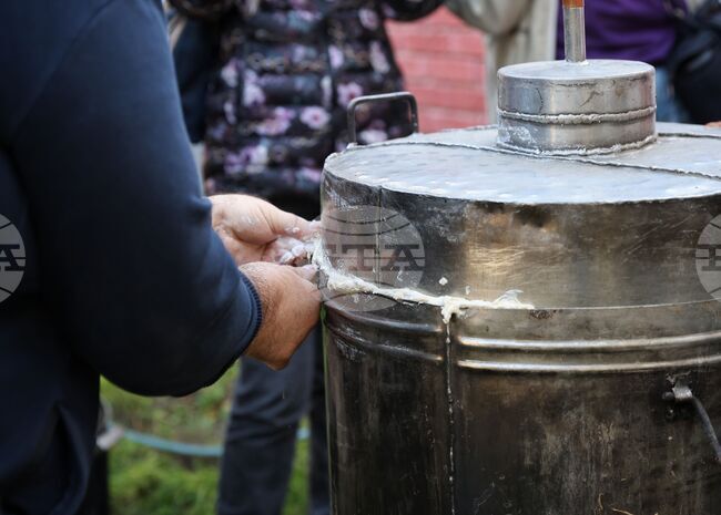 Проектът на Закон за виното и спиртните напитки е свален от платформата за обществени консултации, за да бъде преразгледан и обсъден отново със заинтересованите страни