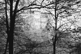 Гложенски манастир "Св. Георги Победоносец"