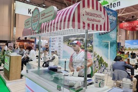 Румъния - туристически панар в Букурещ