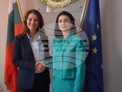 Снимка: ОА Видин