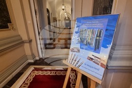 Румъния - изложба - писалки