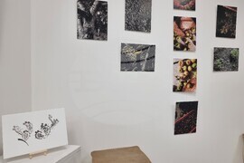 Варна - галерия „Во“ - откриване - изложба