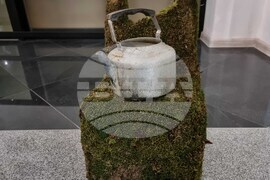 Видин - международен форум - изложба