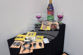 Плевен - изложба - бижута