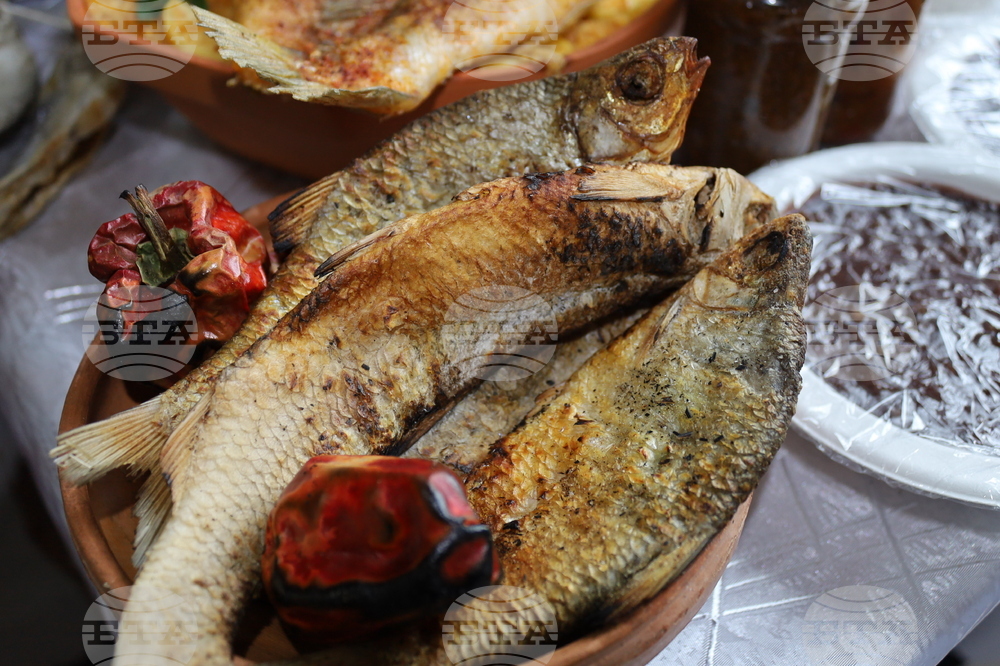 Румъния - село Извоареле - кулинарен фестивал