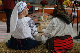 Румъния - село Извоареле - кулинарен фестивал