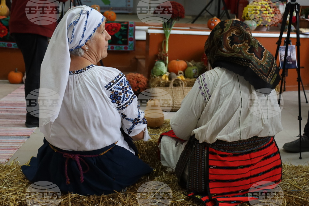 Румъния - село Извоареле - кулинарен фестивал