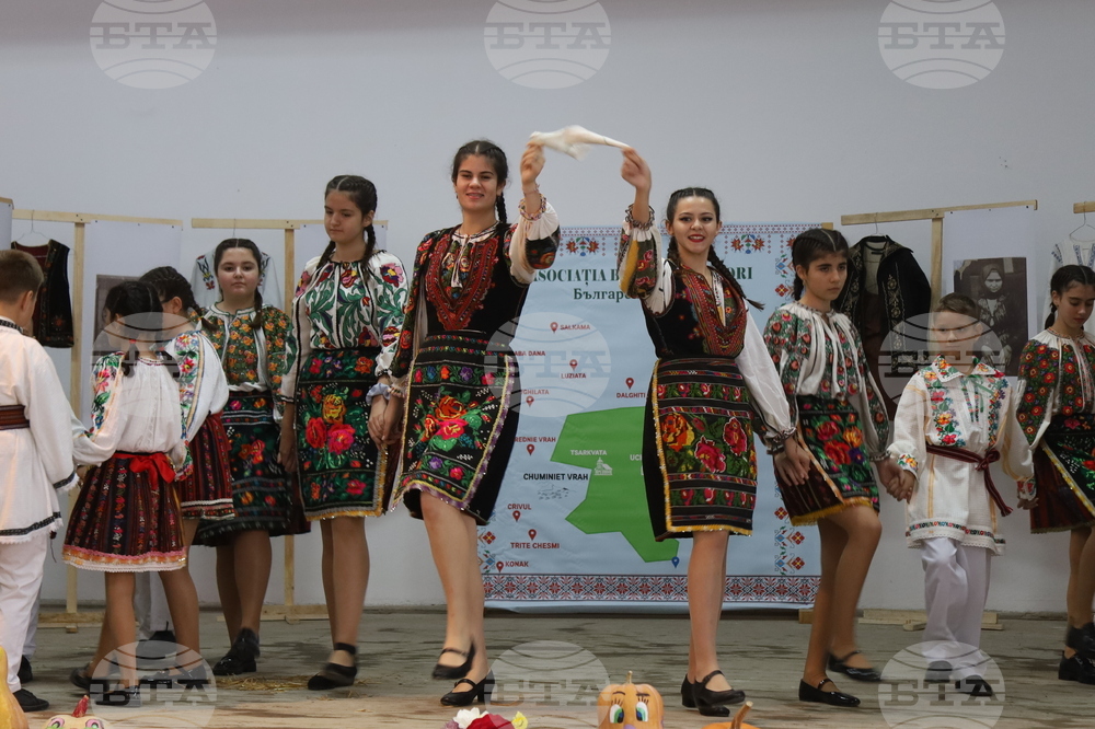 Румъния - село Извоареле - кулинарен фестивал