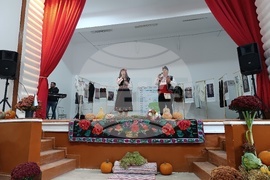 Румъния - село Извоареле - кулинарен фестивал