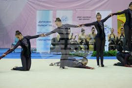 Държавно първенство по Естетическа гимнастика