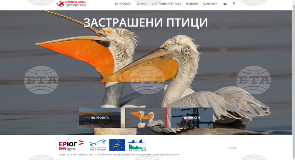 ЕVN България и Българското дружество за защита на птиците разработиха сайт по проект „Безопасна мрежа за Бургаските езера”
