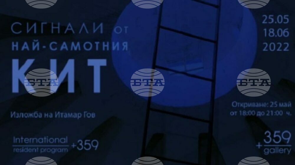 Звук и светлина представят „Сигнали от най-самотния кит“ в София