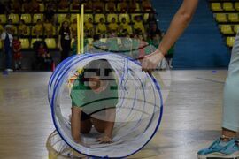 Благоевград - спортен празник - деца