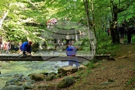 м. "Костина" - Бенковски- възпоменание