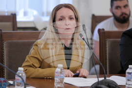 Парламент - Комисия по външна политика - заседание