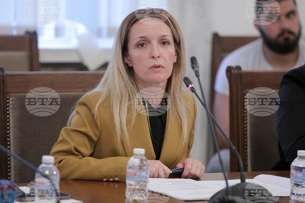 Парламент - Комисия по външна политика - заседание