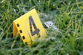 Благоевград - простреляна жена