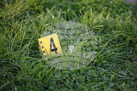 Благоевград - простреляна жена