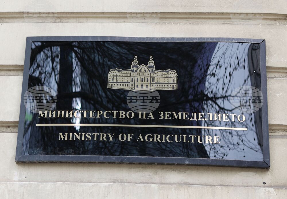 МЗ - комисия заседание