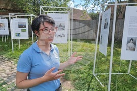 Румъния - саксонско село - Крал Чарлз III - къща