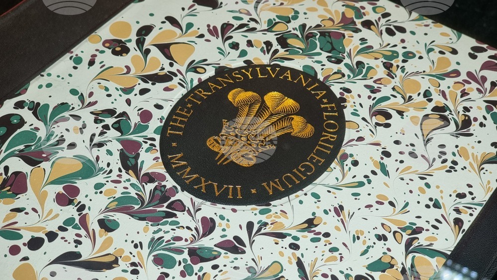Румъния - саксонско село - Крал Чарлз III - къща