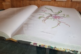 Румъния - саксонско село - Крал Чарлз III - къща