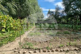 Румъния - саксонско село - Крал Чарлз III - къща