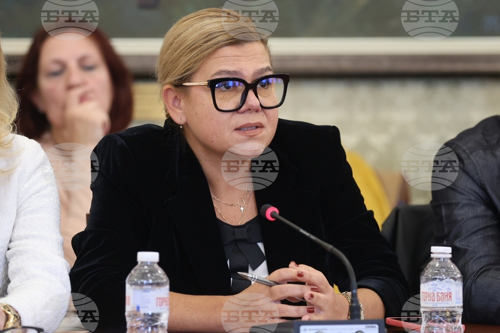 Народно събрание - култура - финансиране - кръгла маса - Соня Момчилова