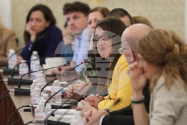 Народно събрание - култура - финансиране - кръгла маса - Мария Йозова