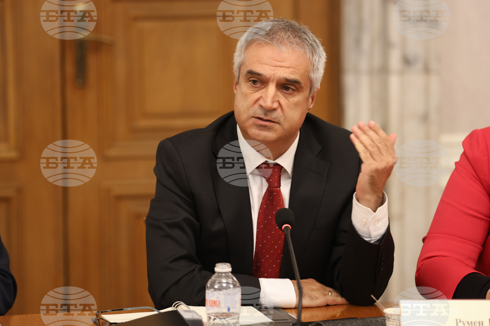 Парламент - Комисия по енергетика - Румен Радев