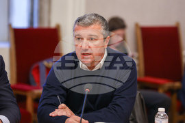Парламент - Комисия по енергетика - Добромир Стойнев