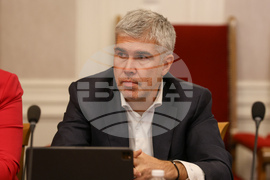 Парламент - Комисия по енергетика - Владимир Малинов