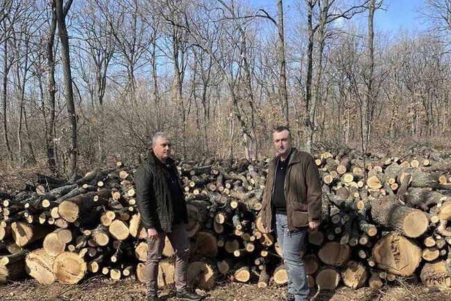 Ръководството на Министерството на земеделието започна своите посещения в складовете за продажба на дърва за огрев