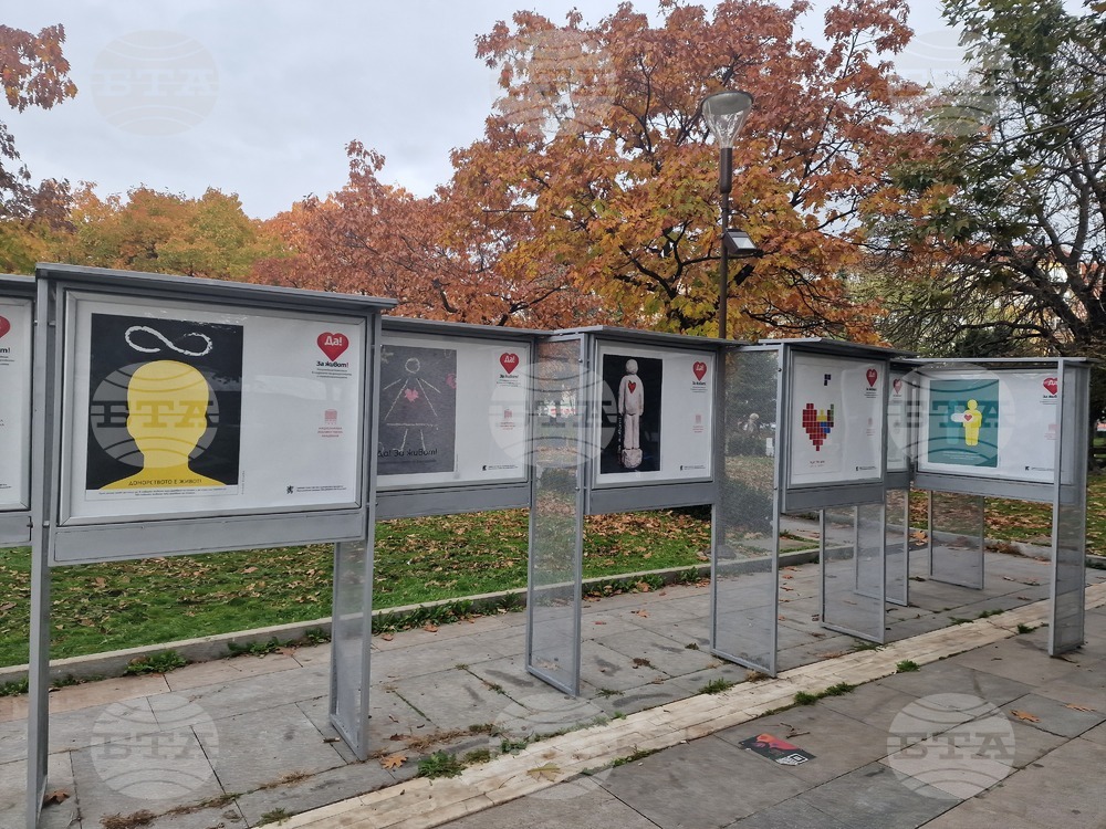 Донорството като благороден жест е във фокуса на изложба с плакати на студенти в София