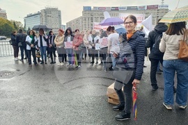 Румъния - фармацевти - протест