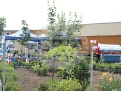 Дневен център